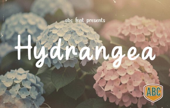 Hydrangea: A Font That Elevates Your Brand