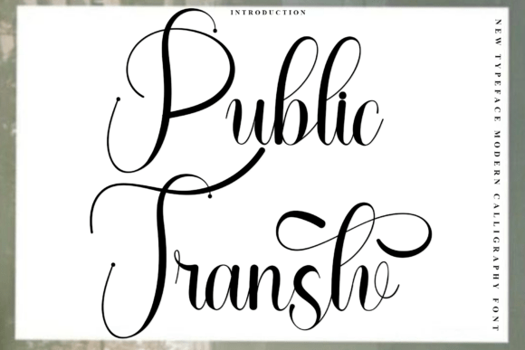 Public Transtv: A Festive Font for Branding Magic